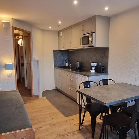 Fonctionnel Aux Pieds Des Pistes - Fr-1-181-2574 Apartment *